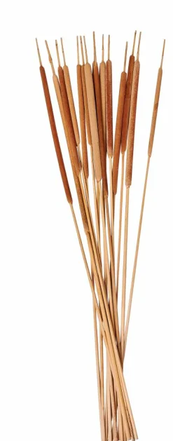 Sale CASA AFRIKA Vase Naturel