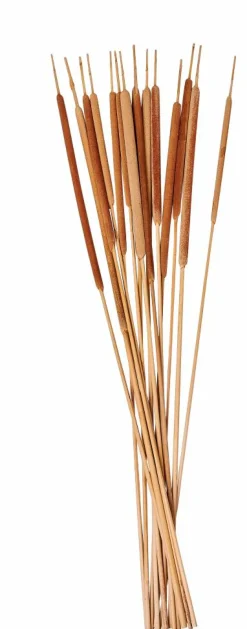 Outlet CASA AFRIKA Vase Naturel