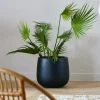 Discount CASA ARECA Palmier Vert