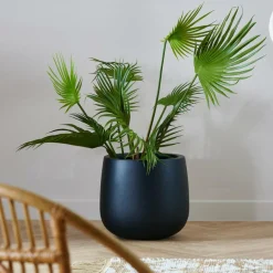 Discount CASA ARECA Palmier Vert