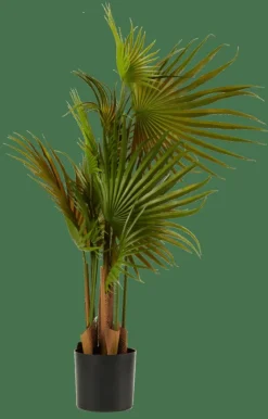 Discount CASA ARECA Palmier Vert