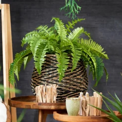 Online CASA BAZAAR Pot De Fleurs Naturel