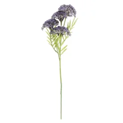Sale CASA BERRY Branche De Baies Rouge