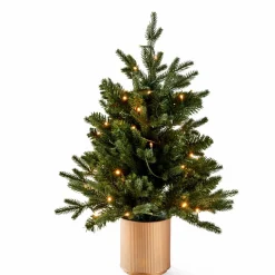 Sale CASA BERRY Branche De Baies Rouge