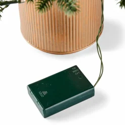 Sale CASA BERRY Branche De Baies Rouge