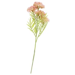 Sale CASA BERRY Branche De Baies Rouge