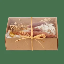Discount CASA BOX Déco Séchée Diverses Couleurs