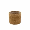 Hot CASA BRAZI Plante Vert