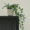 New CASA CALATHEA Plante Suspendue Gris, Vert, Mauve