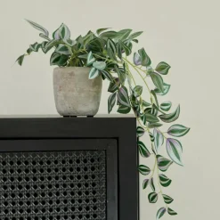 New CASA CALATHEA Plante Suspendue Gris, Vert, Mauve
