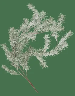 Clearance CASA CEDER Branche Décorative Vert