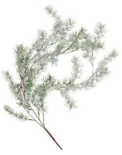 Clearance CASA CEDER Branche Décorative Vert