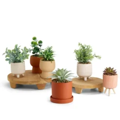 Sale CASA CERA Plante Artificielle Diverses Couleurs