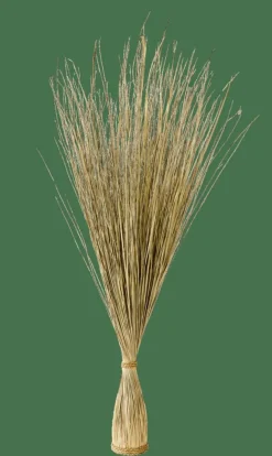 Discount CASA COGON Botte D'herbe Naturel