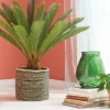 Outlet CASA CYCAS Palmier Vert
