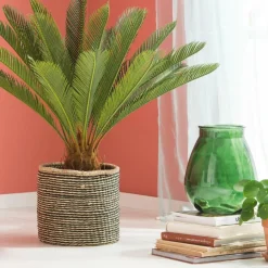 Outlet CASA CYCAS Palmier Vert