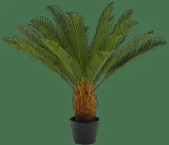 Outlet CASA CYCAS Palmier Vert