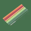 Clearance CASA ECO PARTY Pailles Avec Brosse Réutilisables Mélange De 5 Couleurs