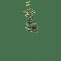Clearance CASA EUCALYPTUS Tige Artificielle Vert