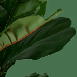 Discount CASA FIGI Plante Artificielle Diverses Couleurs
