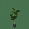 Clearance CASA FIGI Plante Artificielle Noir, Vert Foncé
