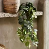 Best CASA FITTONIA Guirlande Feuilles Vert