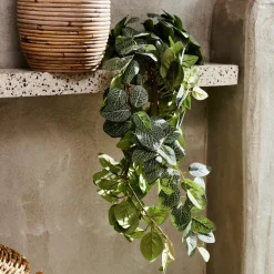 Best CASA FITTONIA Guirlande Feuilles Vert