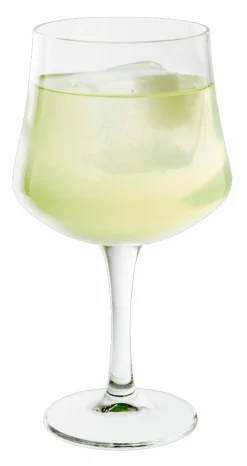 Clearance CASA GIN Verre 65 CL Transparent