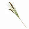 New CASA GRASS Botte D'herbe Rouge