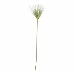 New CASA GRASS Botte D'herbe Rouge