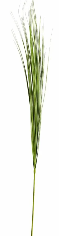 New CASA GRASS Botte D'herbe Rouge