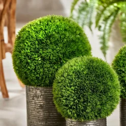 New CASA GRASS Botte D'herbe Rouge