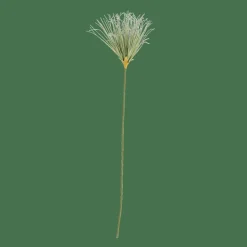 Clearance CASA GRASS Botte D'herbe Vert
