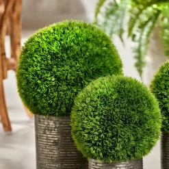 Discount CASA GRASS Botte D'herbe Vert