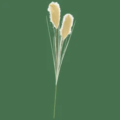 Outlet CASA GRASS Panicule De Roseau Vert