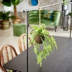 Sale CASA GREENERY Pot à Suspendre Avec Fougère Vert