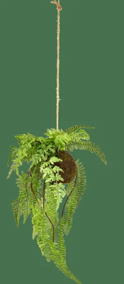 Sale CASA GREENERY Pot à Suspendre Avec Fougère Vert
