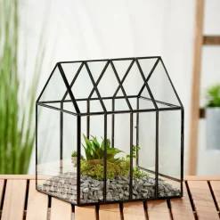 Online CASA GREENHOUSE Terrarium Transparent