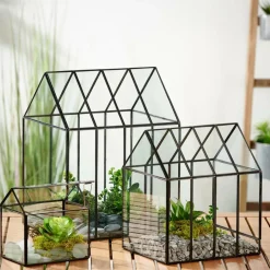 Online CASA GREENHOUSE Terrarium Transparent