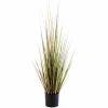 Sale CASA HERBA Herbe En Pot Vert