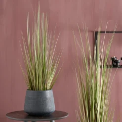 Sale CASA HERBA Herbe En Pot Vert