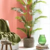 New CASA KWAI Palmier Vert