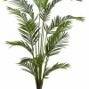 Best CASA KWAI Palmier Vert