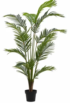 Best CASA KWAI Palmier Vert