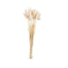 Best CASA LAGURUS Lagure Ovale Beige