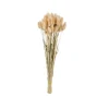 Sale CASA LAGURUS Lagure Ovale Naturel