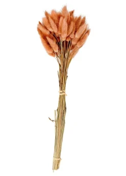 Sale CASA LAGURUS Lagure Ovale Rose