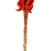 Outlet CASA LAGURUS Lagure Ovale Rouge