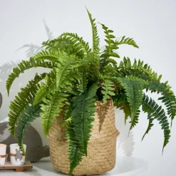 Discount CASA LARGO Pot De Fleurs Noir