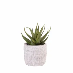 Discount CASA LARGO Pot De Fleurs Noir